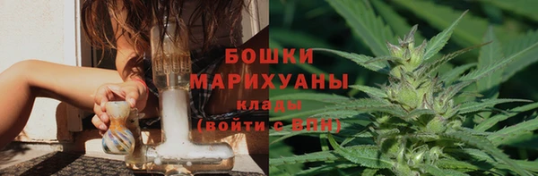 индика Новокубанск