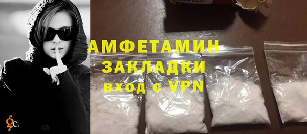шишки Новозыбков