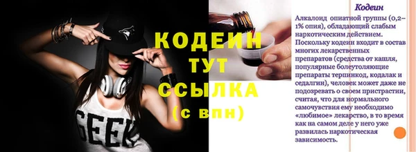 индика Новокубанск