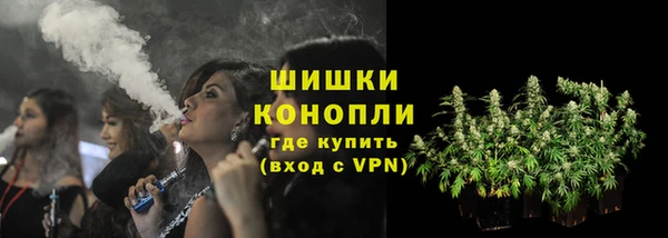 индика Новокубанск