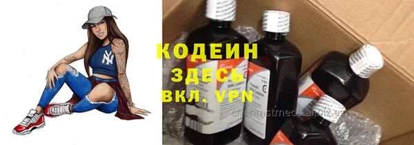 шишки Новозыбков