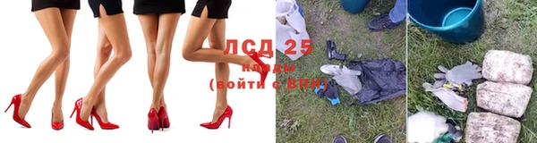 индика Новокубанск
