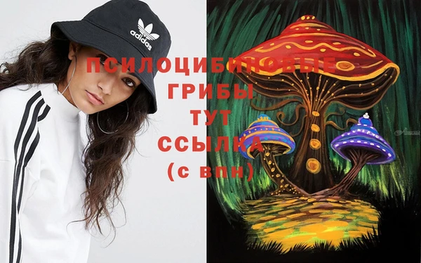 шишки Новозыбков