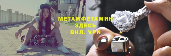 шишки Новозыбков
