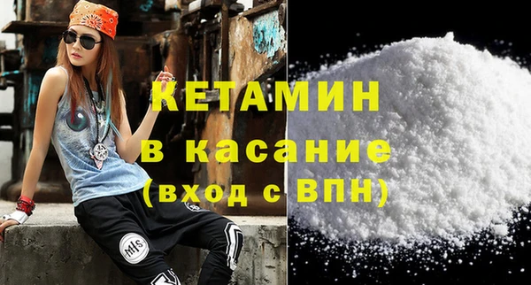 шишки Новозыбков