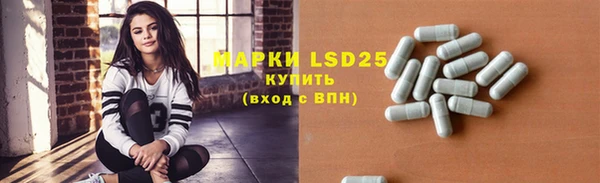 индика Новокубанск