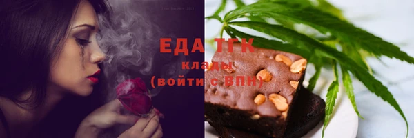 индика Новокубанск