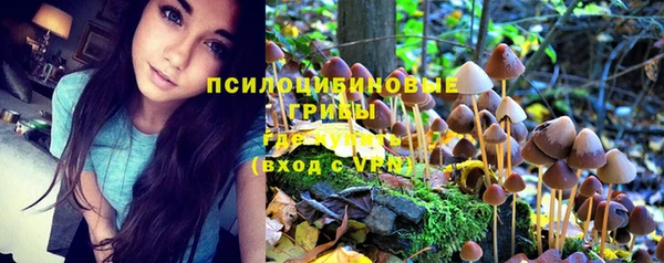 МДПВ Новодвинск