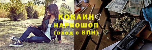 индика Новокубанск