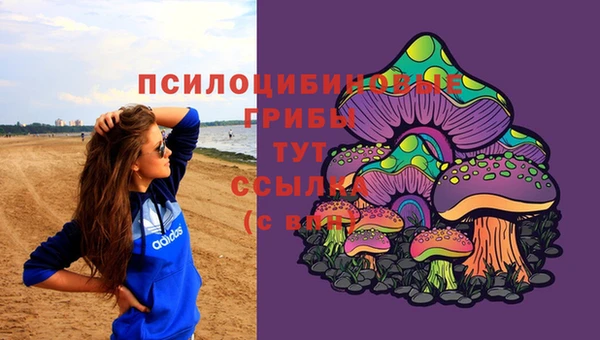 МДПВ Новодвинск