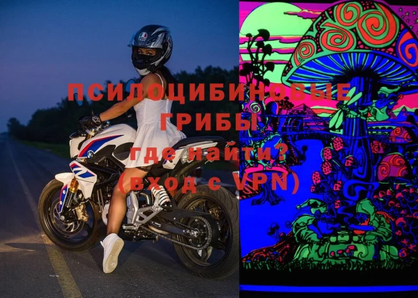 индика Новокубанск