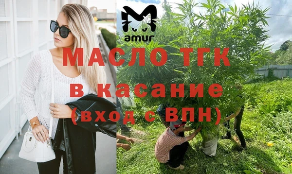 индика Новокубанск