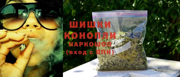 шишки Новозыбков