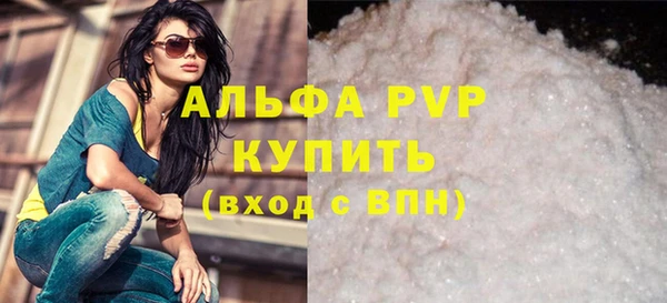 индика Новокубанск