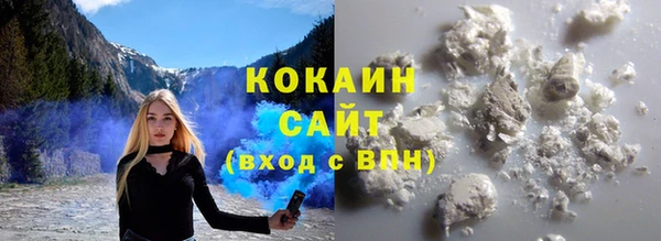 шишки Новозыбков