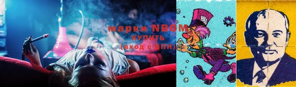 шишки Новозыбков