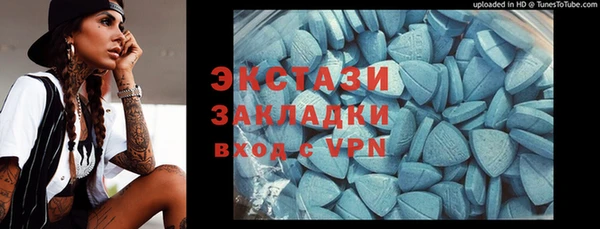 индика Новокубанск