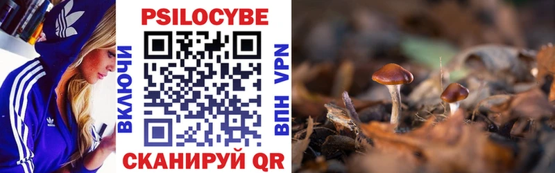 Галлюциногенные грибы GOLDEN TEACHER  хочу наркоту  Чкаловск 